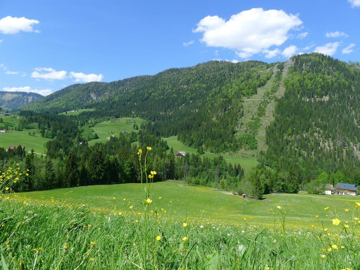 Alpenhaus Dachstein.Zauber Apartamento Abtenau Exterior foto