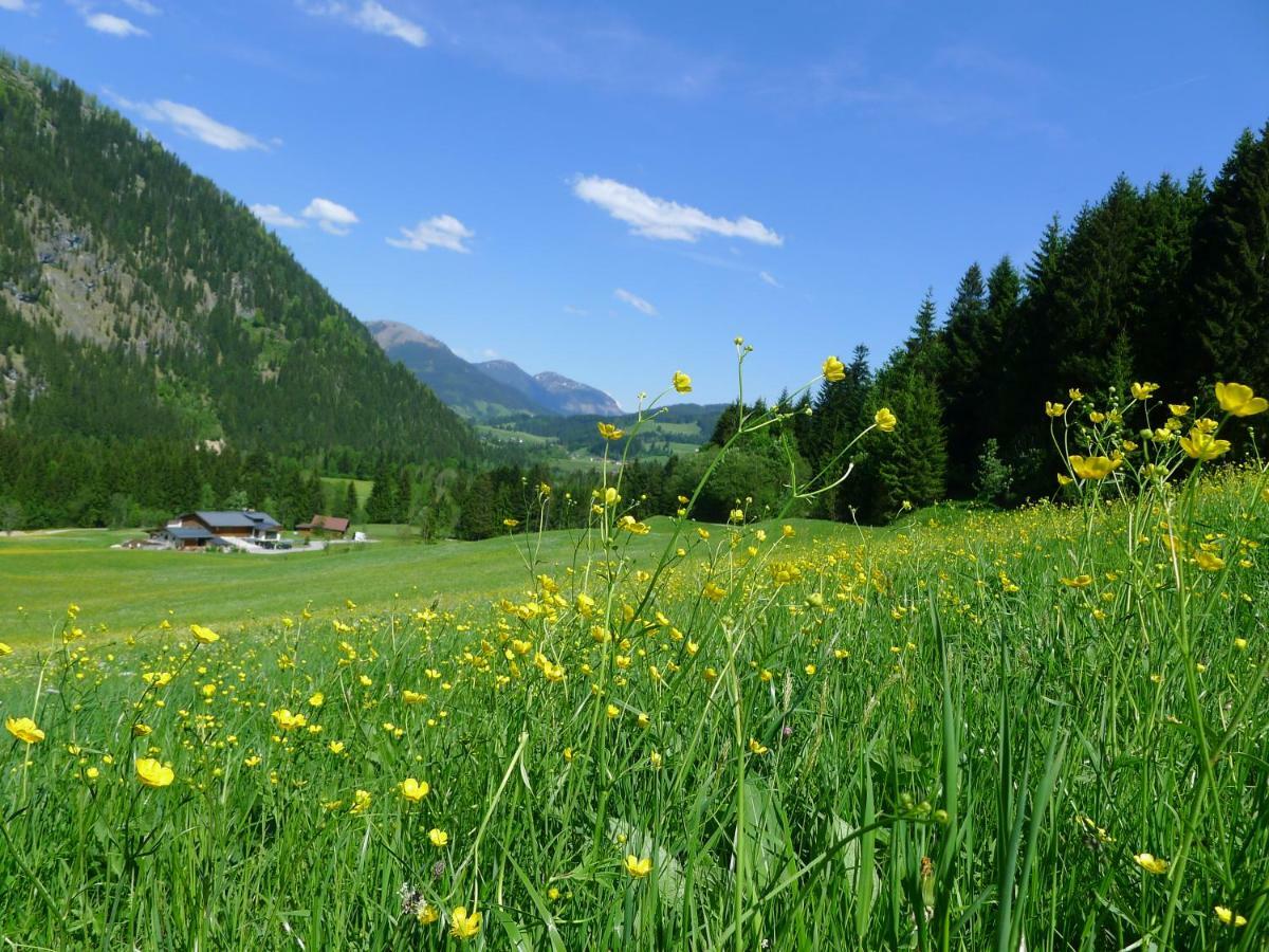 Alpenhaus Dachstein.Zauber Apartamento Abtenau Exterior foto