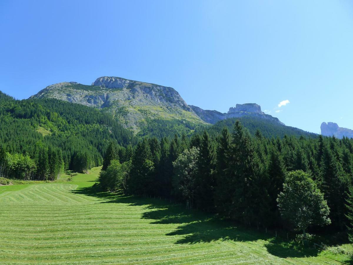 Alpenhaus Dachstein.Zauber Apartamento Abtenau Exterior foto