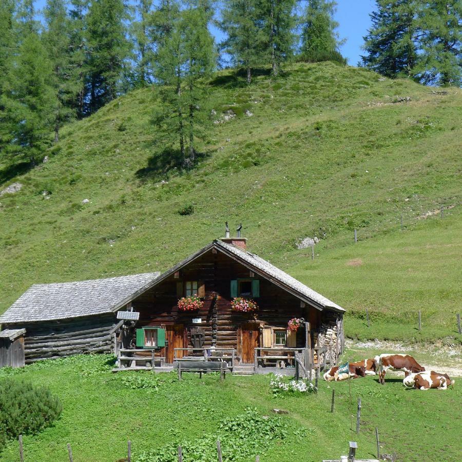 Alpenhaus Dachstein.Zauber Apartamento Abtenau Exterior foto