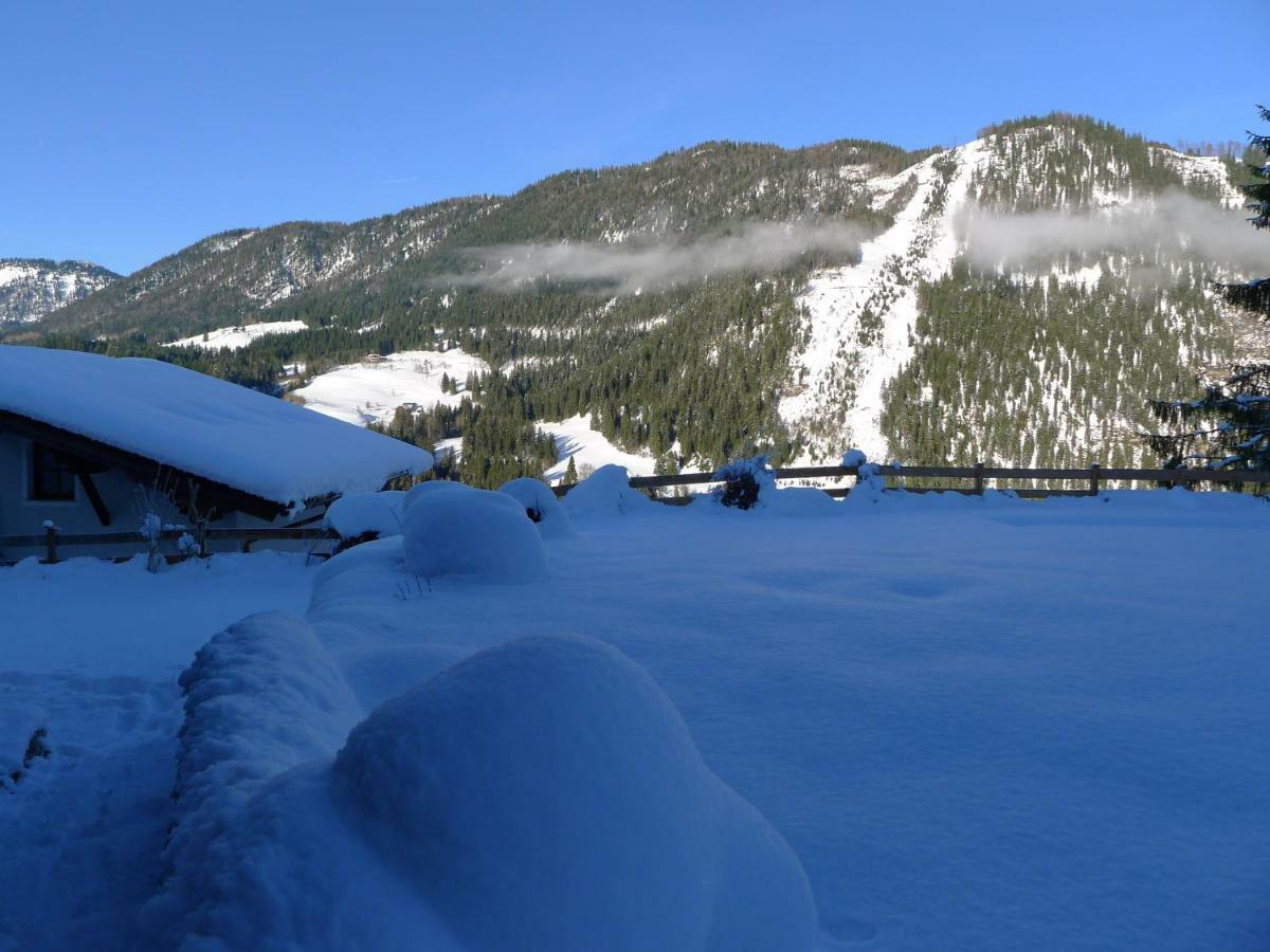 Alpenhaus Dachstein.Zauber Apartamento Abtenau Exterior foto