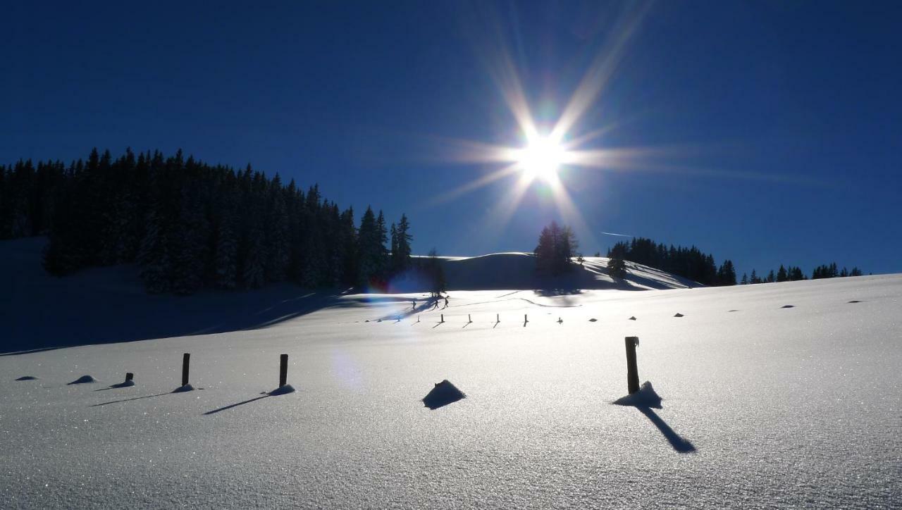 Alpenhaus Dachstein.Zauber Apartamento Abtenau Exterior foto