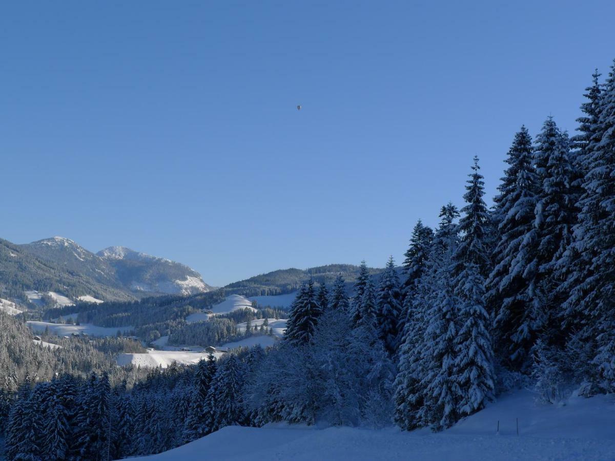 Alpenhaus Dachstein.Zauber Apartamento Abtenau Exterior foto