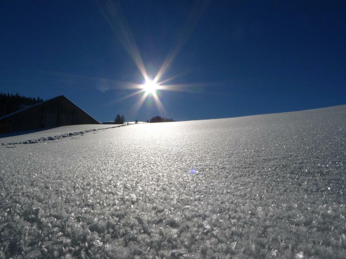 Alpenhaus Dachstein.Zauber Apartamento Abtenau Exterior foto